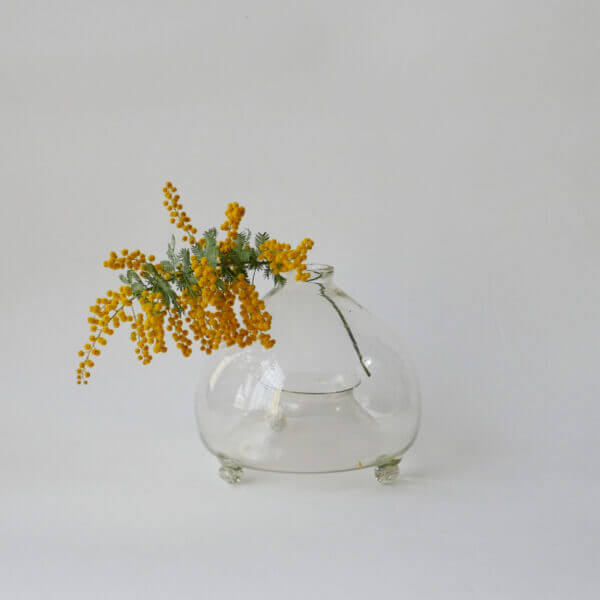 FLY BOTTLE TRAP A