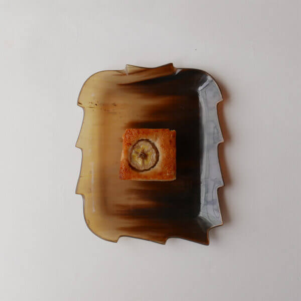 TORTOISESHELL PLATE - B
