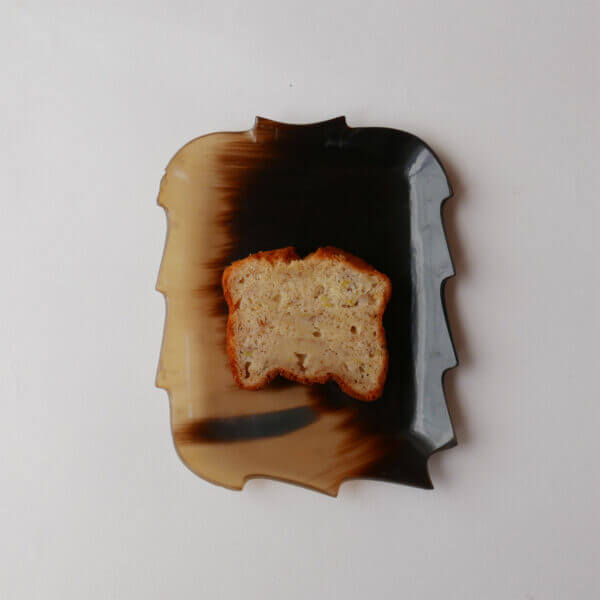 TORTOISESHELL PLATE - A