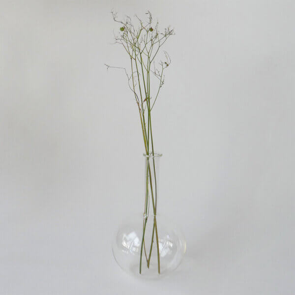 GLASS VASE